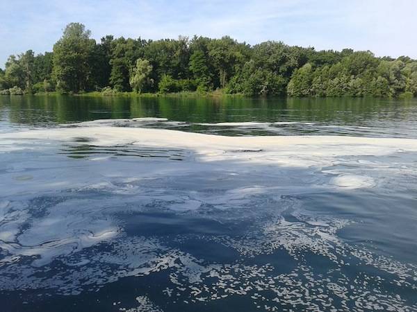 Ticino inquinato al Pamperduto (inserita in galleria)