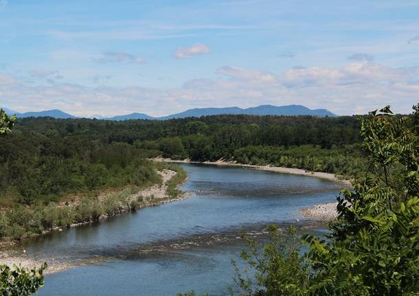 ticino parco fiume veduta 