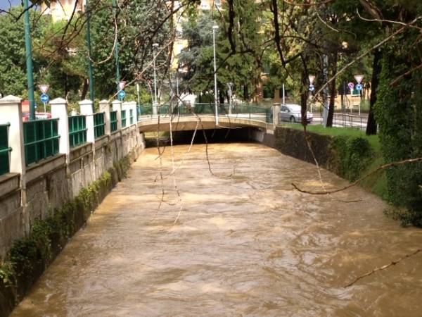 Arnetta in piena a Gallarate (inserita in galleria)