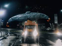 C'è una balena nel lago di Lugano (inserita in galleria)