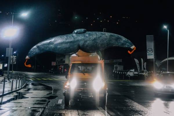 C'è una balena nel lago di Lugano (inserita in galleria)