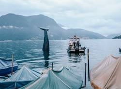 C'è una balena nel lago di Lugano (inserita in galleria)