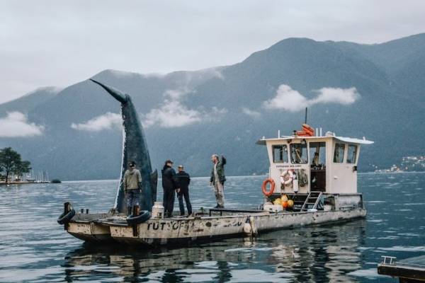 C'è una balena nel lago di Lugano (inserita in galleria)