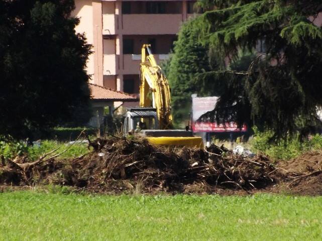 DSCF7684