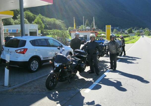 Gruppo misto sulle alpi svizzere – luglio 2014