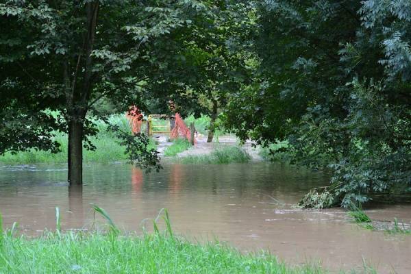  (inserita in galleria)