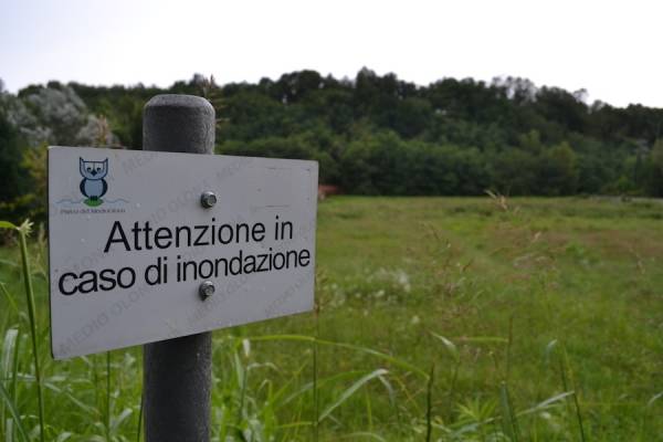  (inserita in galleria)