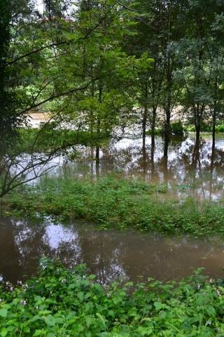L2019Olona esonda a Fagnano (inserita in galleria)