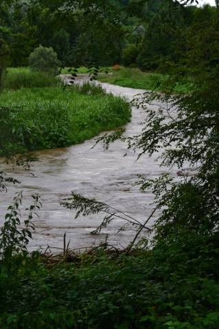 L2019Olona esonda a Fagnano (inserita in galleria)