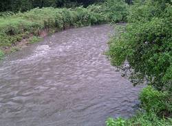 La piena dell'Olona (inserita in galleria)