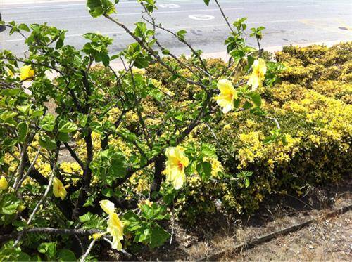 #Reggiolive, il primo giorno (inserita in galleria)