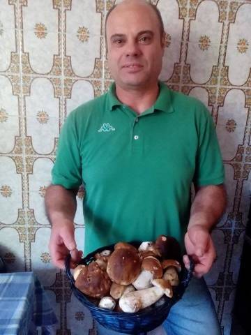 E' già tempo di funghi (inserita in galleria)