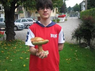 E' già tempo di funghi (inserita in galleria)