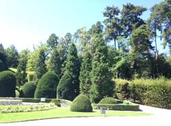 I cipressi del Giardini Estensi (inserita in galleria)