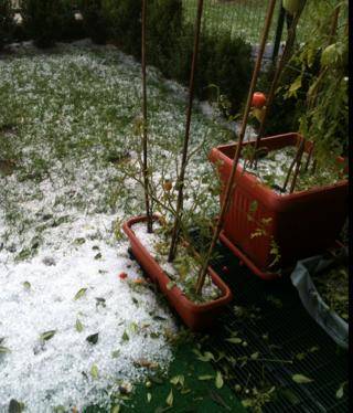 Il ferragosto dei lettori (inserita in galleria)