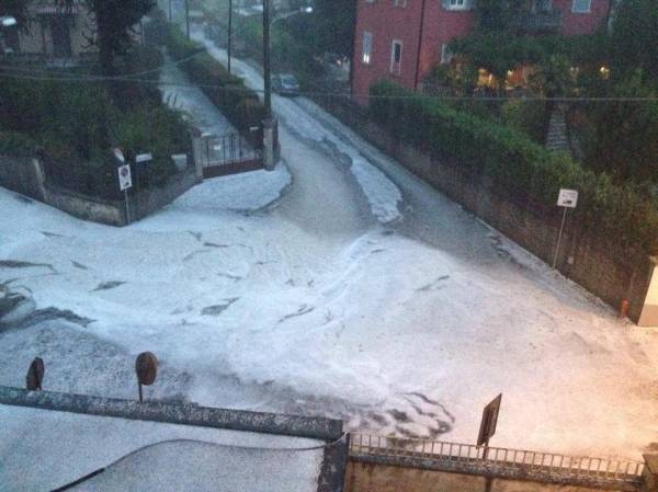 Il ferragosto dei lettori (inserita in galleria)