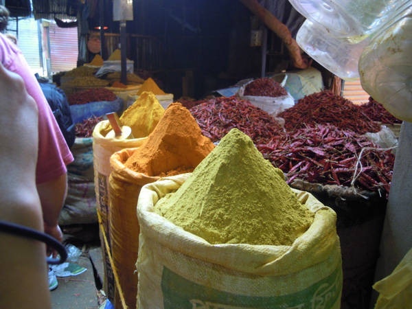 Il viaggio in Bangladesh dei ragazzi del Don Gnocchi (inserita in galleria)