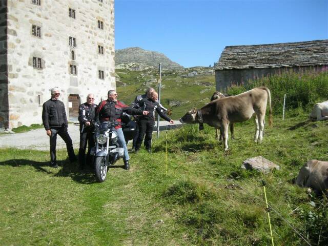 IMG 1272