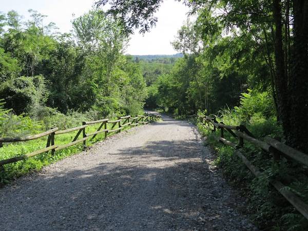 La strada del mulino di Tinella (inserita in galleria)