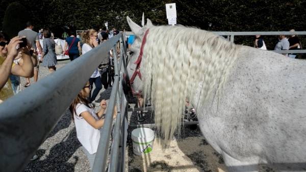 Agrivarese ai Giardini Estensi (inserita in galleria)