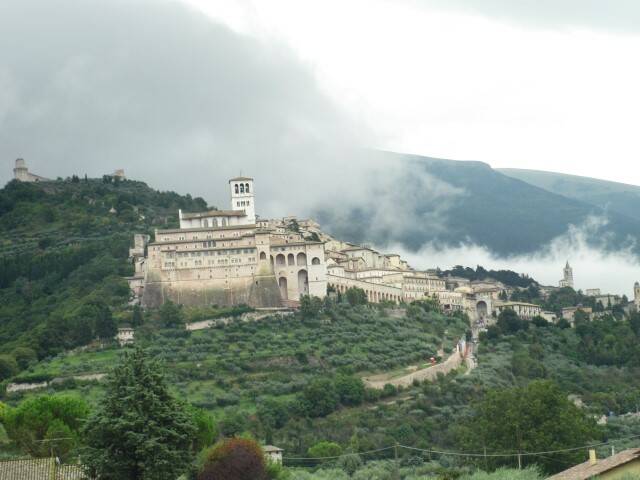 bari  7 