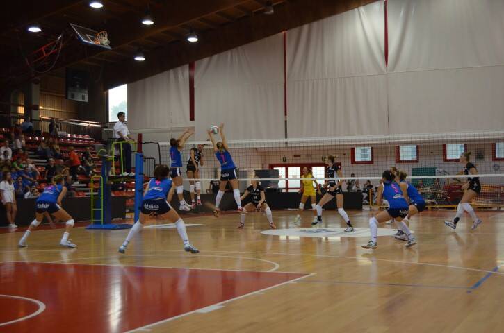 DSC 0217