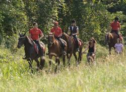 Varese, cavalli e natura (inserita in galleria)