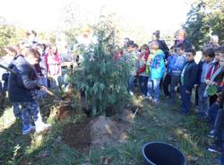 A Villa Cagnola la prima festa dell'albero (inserita in galleria)