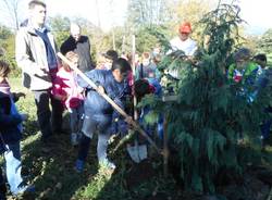 A Villa Cagnola la prima festa dell'albero (inserita in galleria)