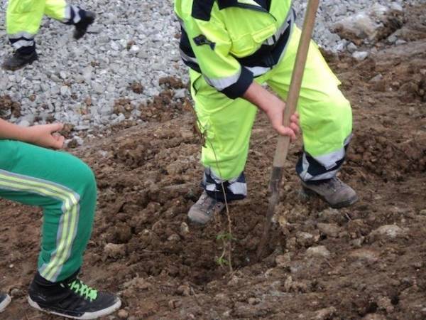 Alberi al cementificio, ci pensano i ragazzi (inserita in galleria)
