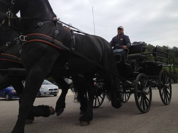 Borgo mustonate (inserita in galleria)