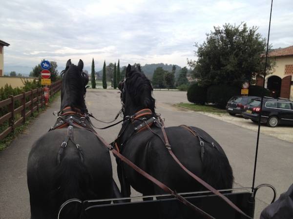 Borgo mustonate (inserita in galleria)