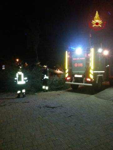Gli interventi dei vigili del fuoco per il vento (inserita in galleria)
