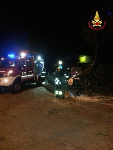 Gli interventi dei vigili del fuoco per il vento (inserita in galleria)