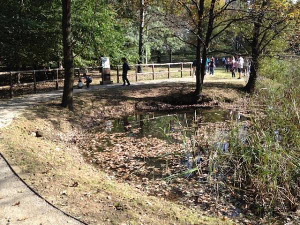 Inaugurazione parco Albizzate (inserita in galleria)