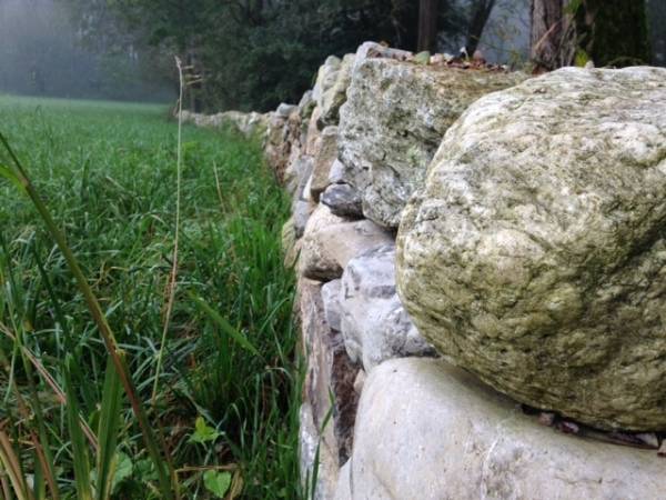 Muri a secco, stagno e lotta alla Ludwigia (inserita in galleria)