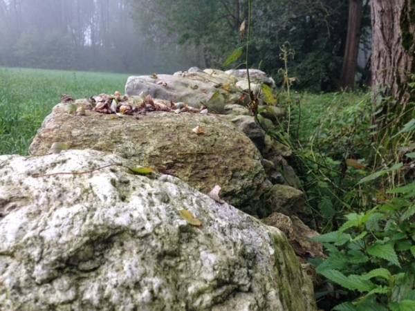 Muri a secco, stagno e lotta alla Ludwigia (inserita in galleria)