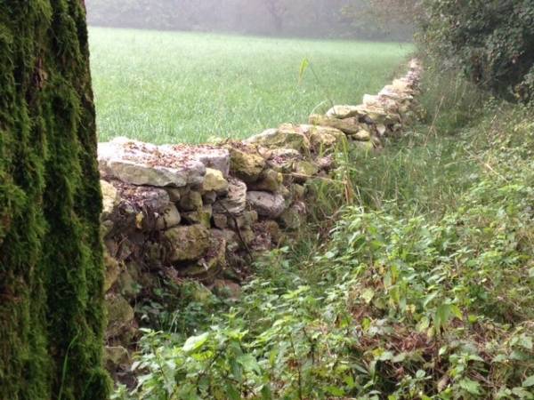 Muri a secco, stagno e lotta alla Ludwigia (inserita in galleria)