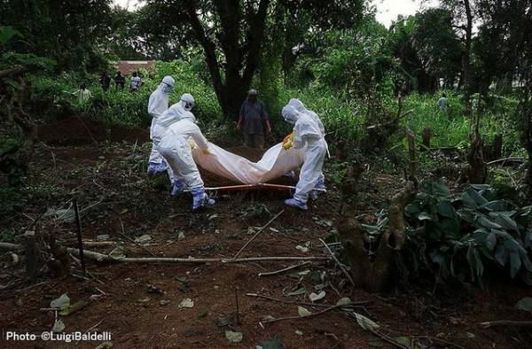 Nell'ospedale di Cuamm in Sierra Leone (inserita in galleria)