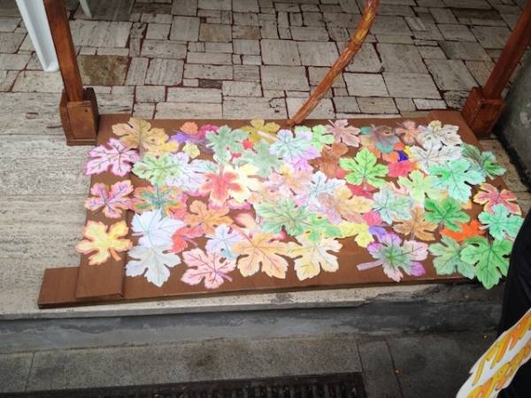 Orto didattico della scuola Dante in mostra (inserita in galleria)