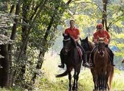 passeggiata a cavallo