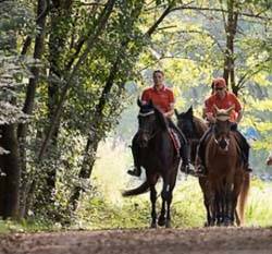 passeggiata a cavallo