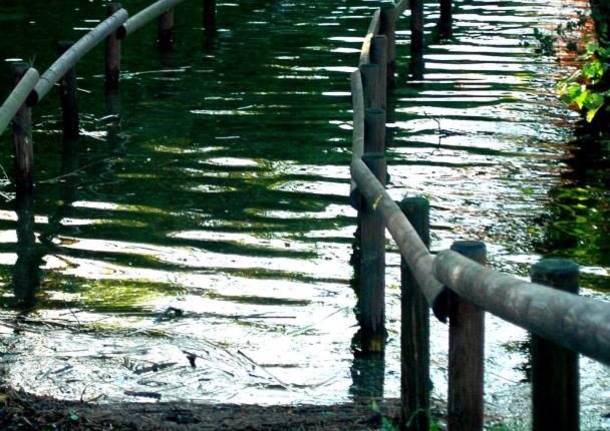 Al Gurée di Monvalle Esonda il Lago Maggiore