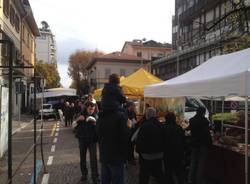 La festa di San Martino a Varese (inserita in galleria)