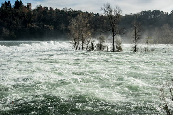 La piena al Panperduto (inserita in galleria)