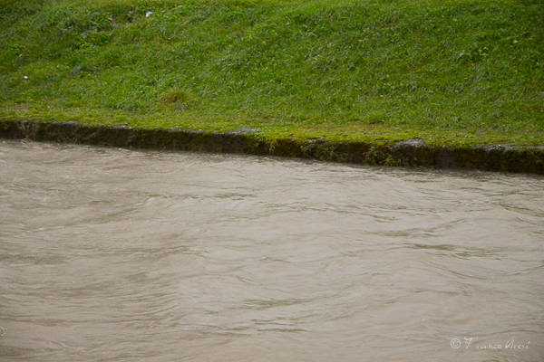 La piena dei fiumi Boesio e Tresa (inserita in galleria)