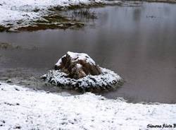 La prima neve in val Veddasca (inserita in galleria)