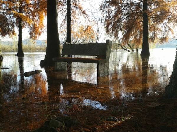 La Schiranna sott'acqua  (inserita in galleria)