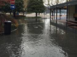 Laveno il giorno dopo 3 (inserita in galleria)