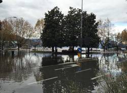 Laveno il giorno dopo 3 (inserita in galleria)